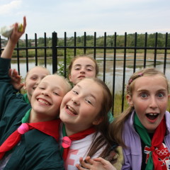 Scouts Root Out The Problem at Towneley